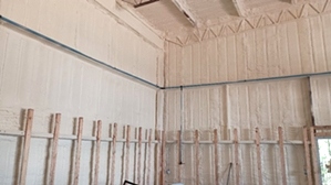 Spray Foam Insulation