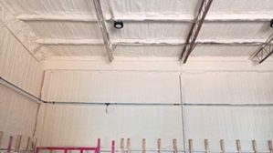 Spray Foam Insulation