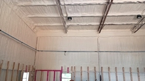 Spray Foam Insulation