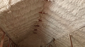 Spray Foam Insulation