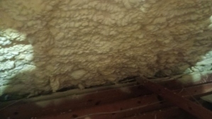 Spray Foam Insulation