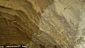 Spray Foam Insulation