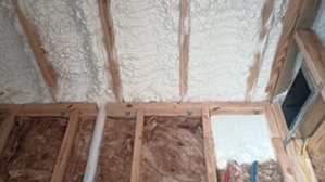 Spray Foam