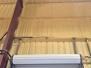 Spray Foam Insulation