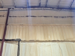 Spray Foam Insulation