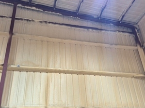Spray Foam Insulation