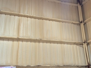 Spray Foam Insulation