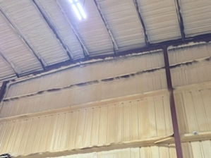 Spray Foam Insulation