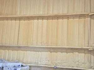 Spray Foam Insulation