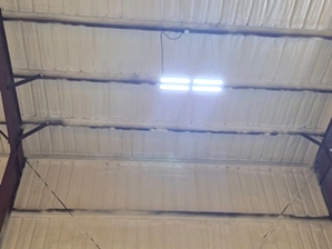 Spray Foam Insulation