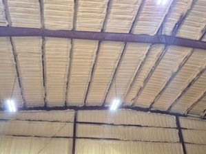 Spray Foam Insulation