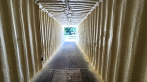 Spray Foam Insulation